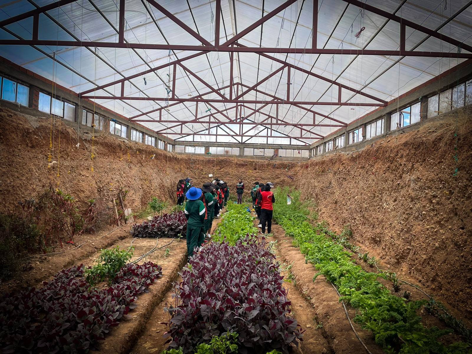 La UMSA enseñará a cultivar alimentos en casa como respuesta a los desafíos de las ciudades
